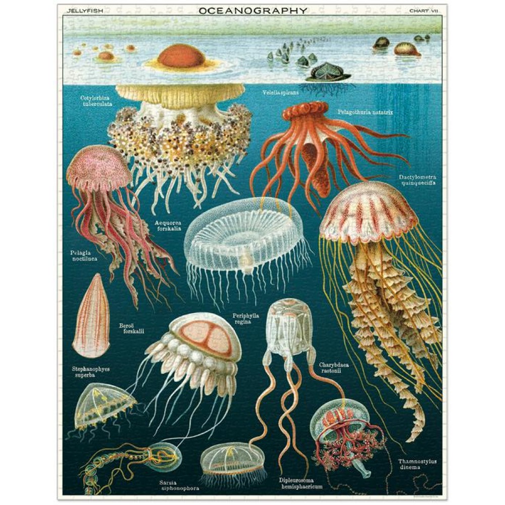 Jellyfish Vintage Pussel 1000 bitar